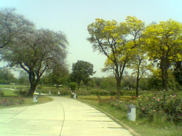 Garden Lake cover